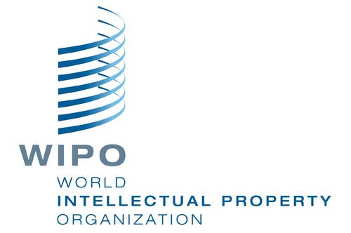 西安知識產(chǎn)權|中國首次成為國際專利申請最大來源國