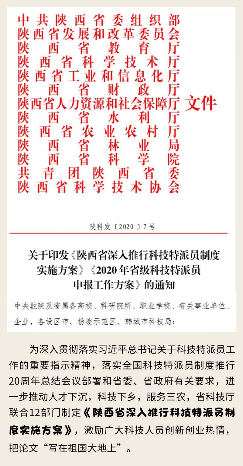 1591003845677058856.jpg 14.jpg