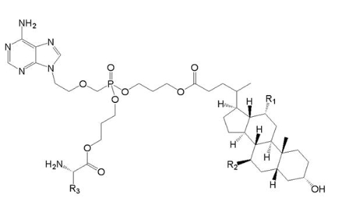 1608253383118008323.jpg ctp5.jpg