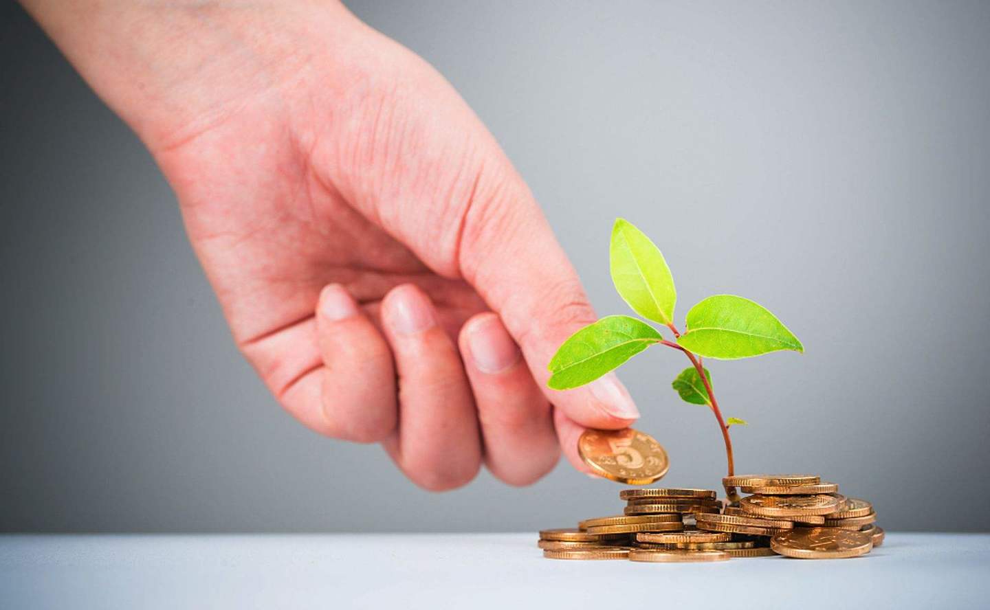 1630458472281084382.jpg 5.jpg